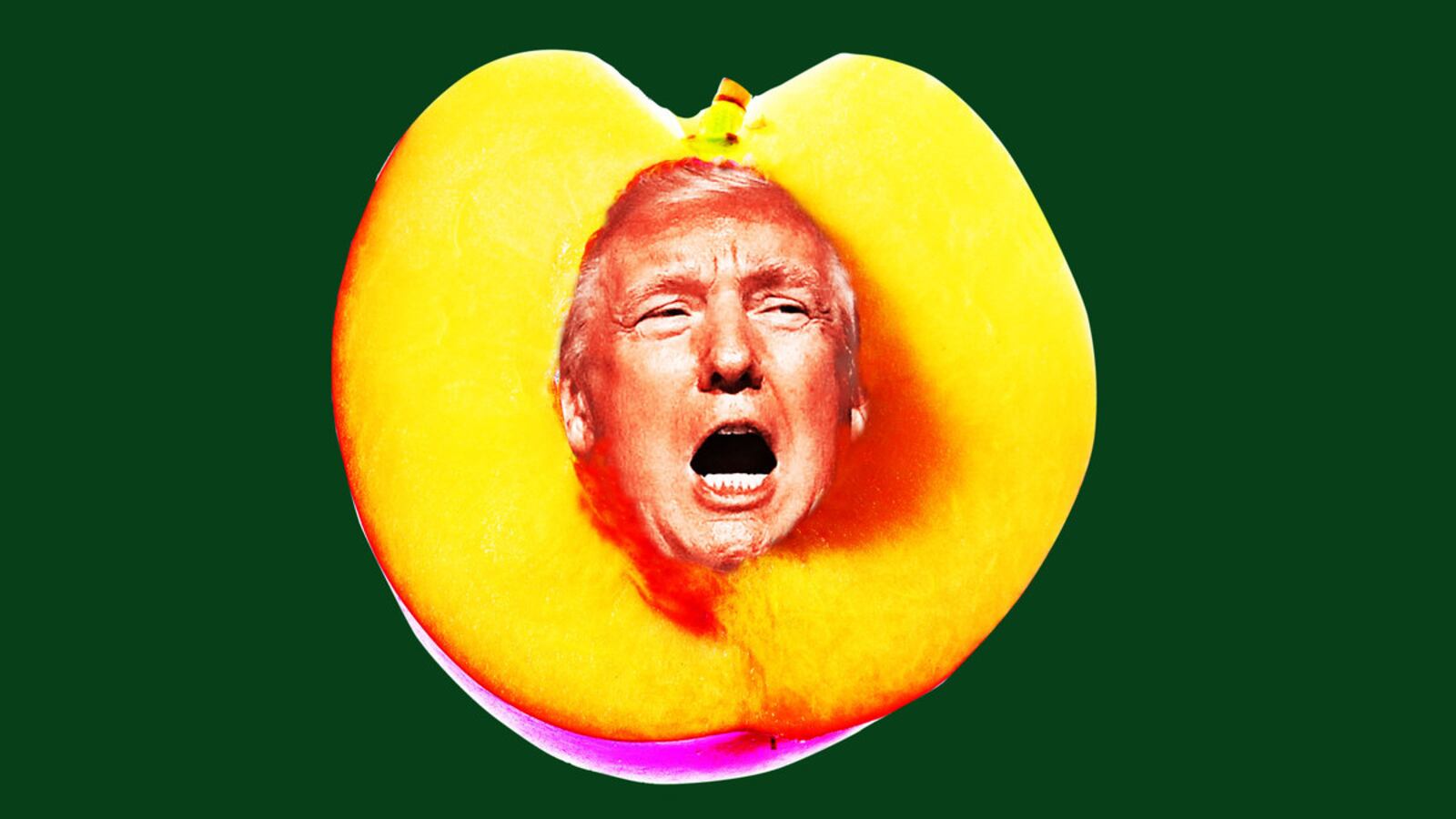 200117-wilson-trump-impeachment-tease_z7rvj6