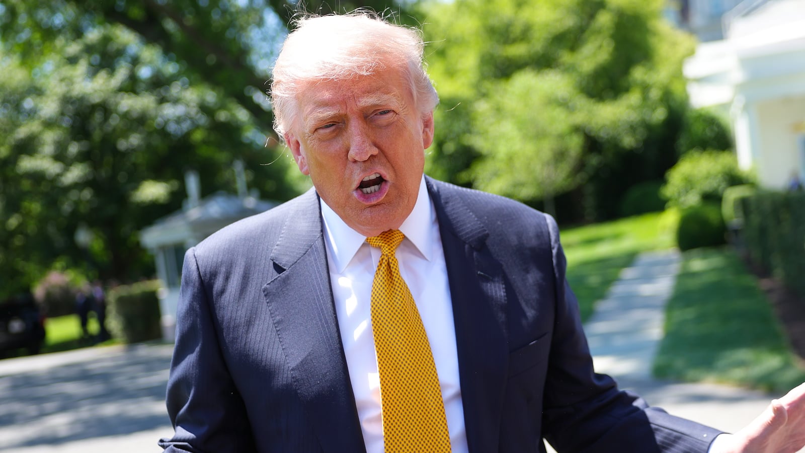 trump