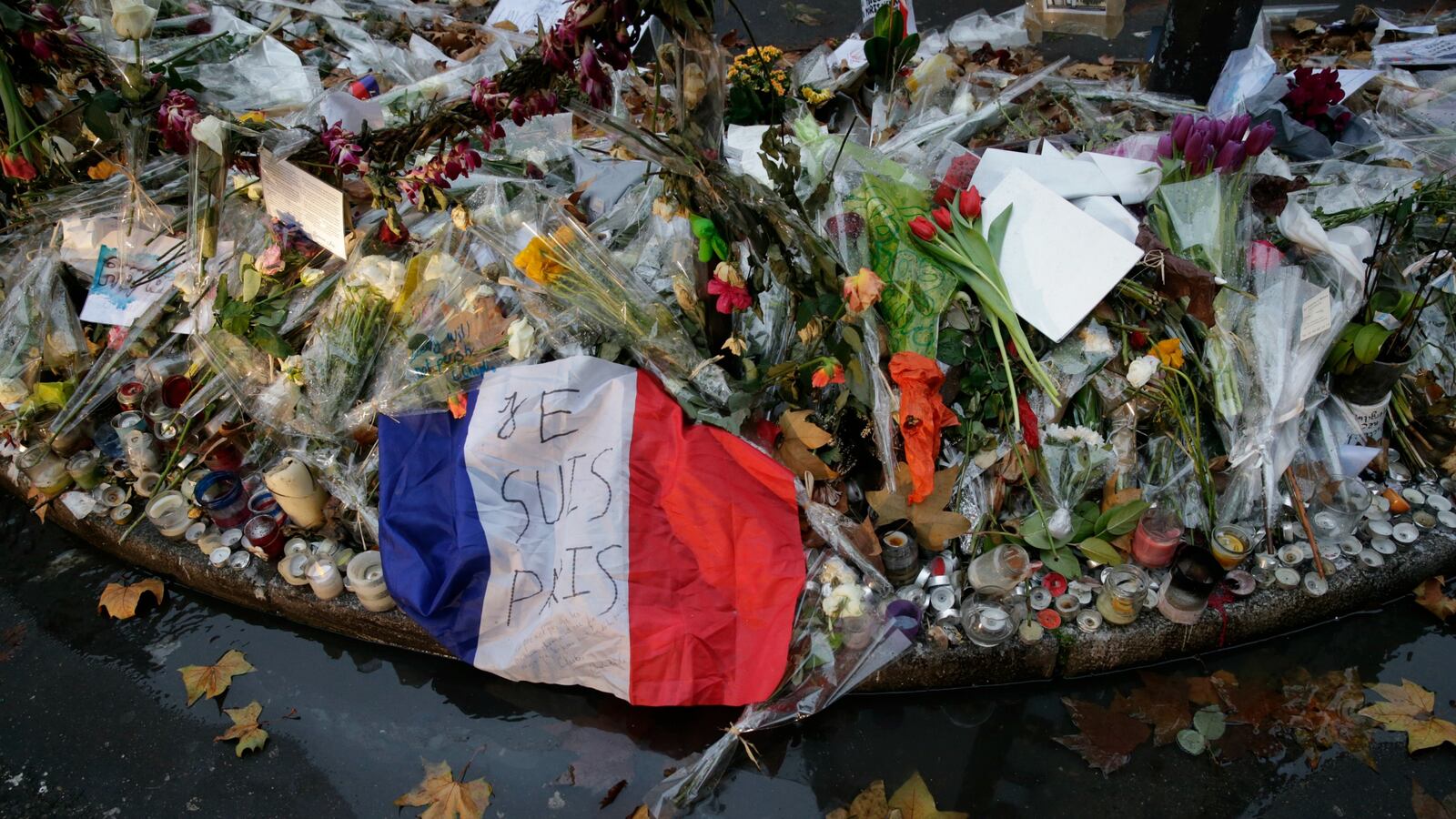 paris_oxwsmx