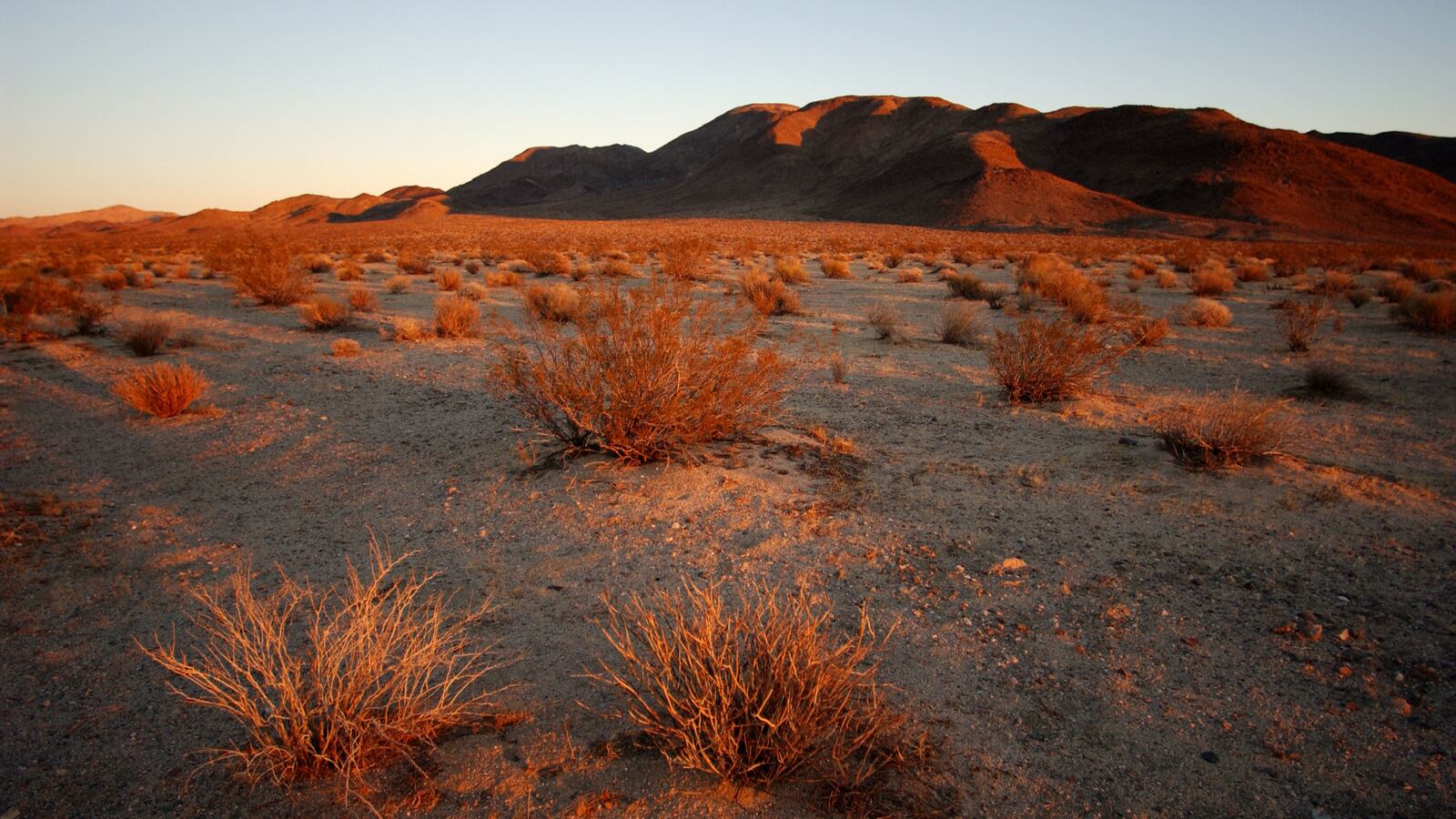 GettyImages-689837_fg9ylv