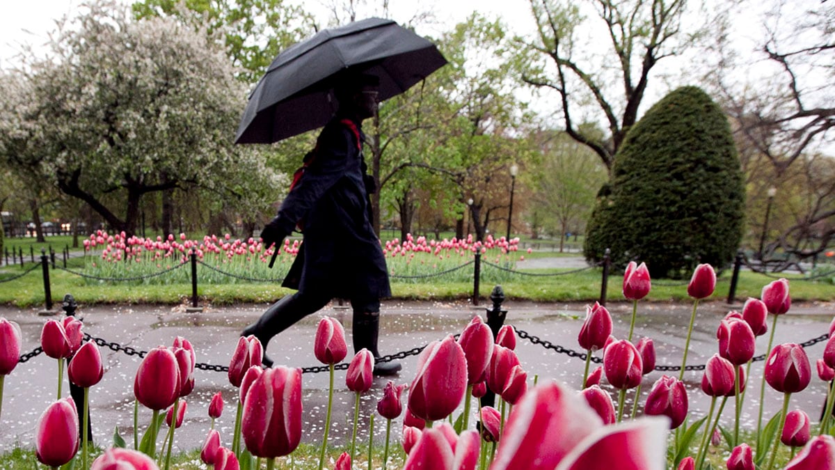 cheats/2012/04/23/storm-hits-northeast/weather-april-showers-snow-predicted-cheat_xdjgk5