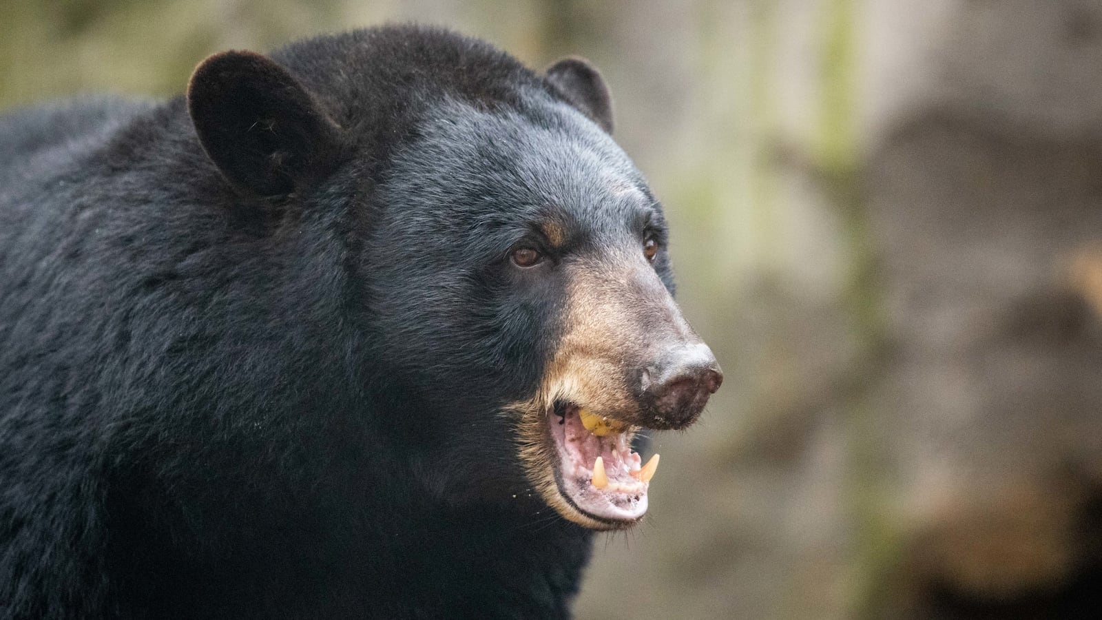 GettyImages-1197059292_gawjxj