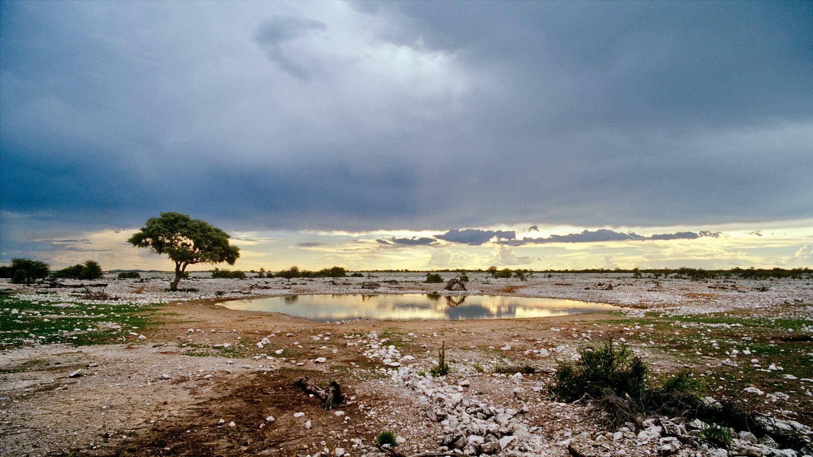 cheats/2013/11/30/mozambican-plane-crashes/131130-mozambica-plane-crash-cheat_zgcez5