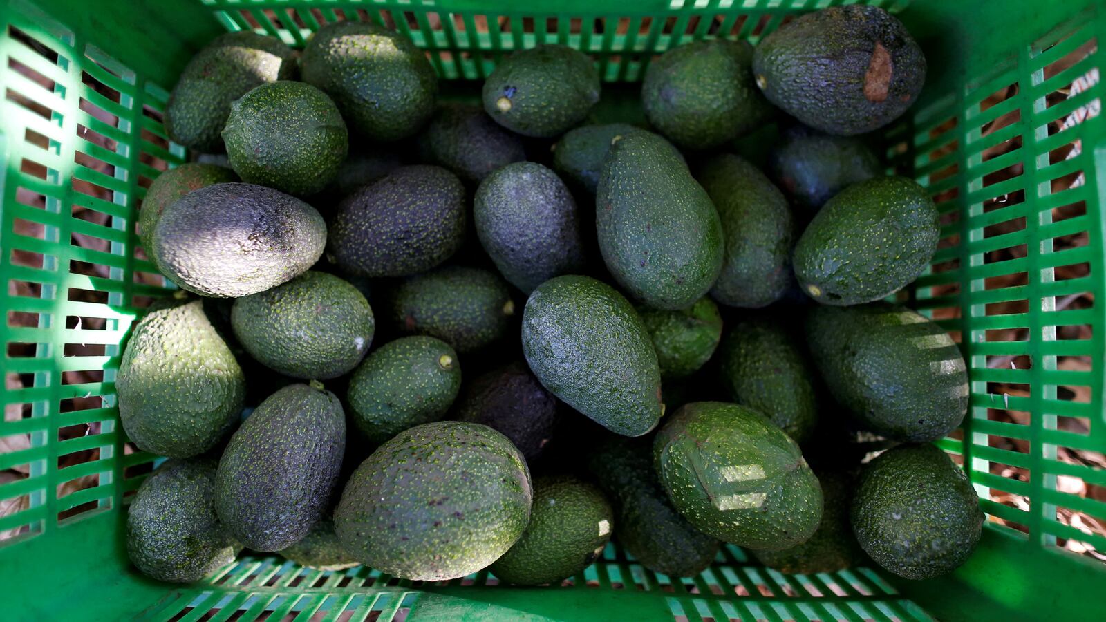 2022-02-13T174651Z_1973968884_RC25JS91W49A_RTRMADP_3_MEXICO-PRESIDENT_qpusid