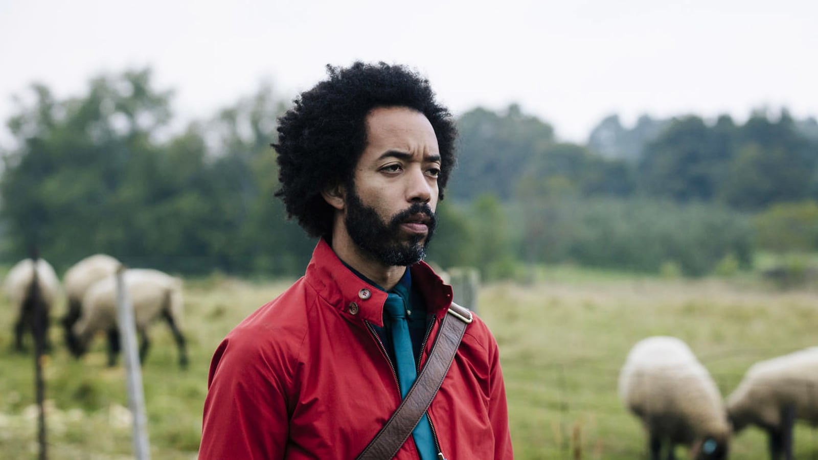 articles/2016/10/31/people-of-earth-star-wyatt-cenac-is-like-comedy-s-best-alien/161030-Fallon-People-of-Earth-tease_d9tide