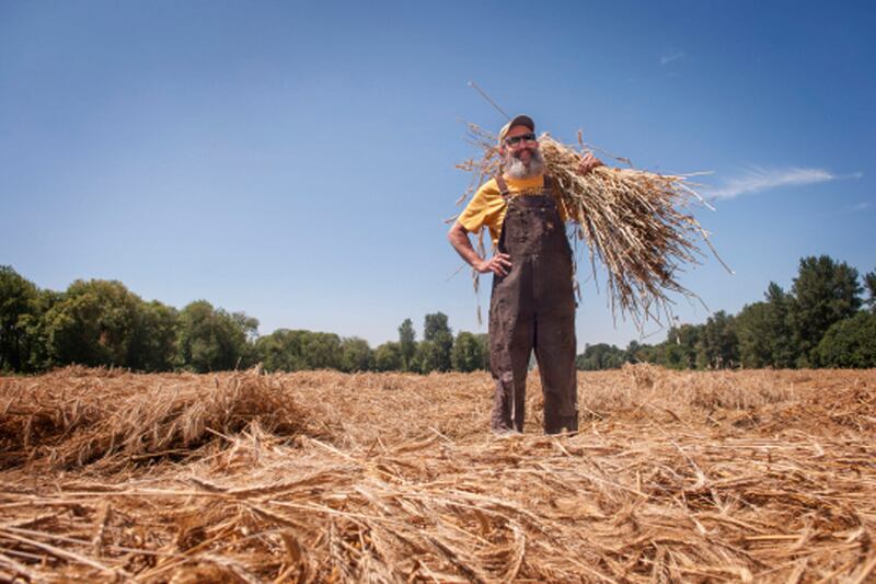 articles/2014/06/09/the-hop-crazy-master-brewer/140606-john-maier-tease_zujdnx