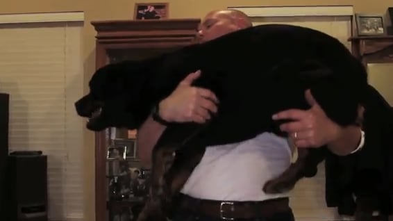 articles/2013/04/25/a-place-that-k-9-dogs-can-call-home/a-place-that-k-9-dogs-can-call-home-image_nawoe6