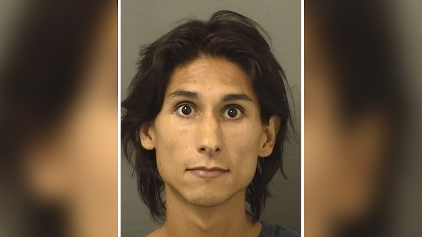 Bijan Arceo's mug shot