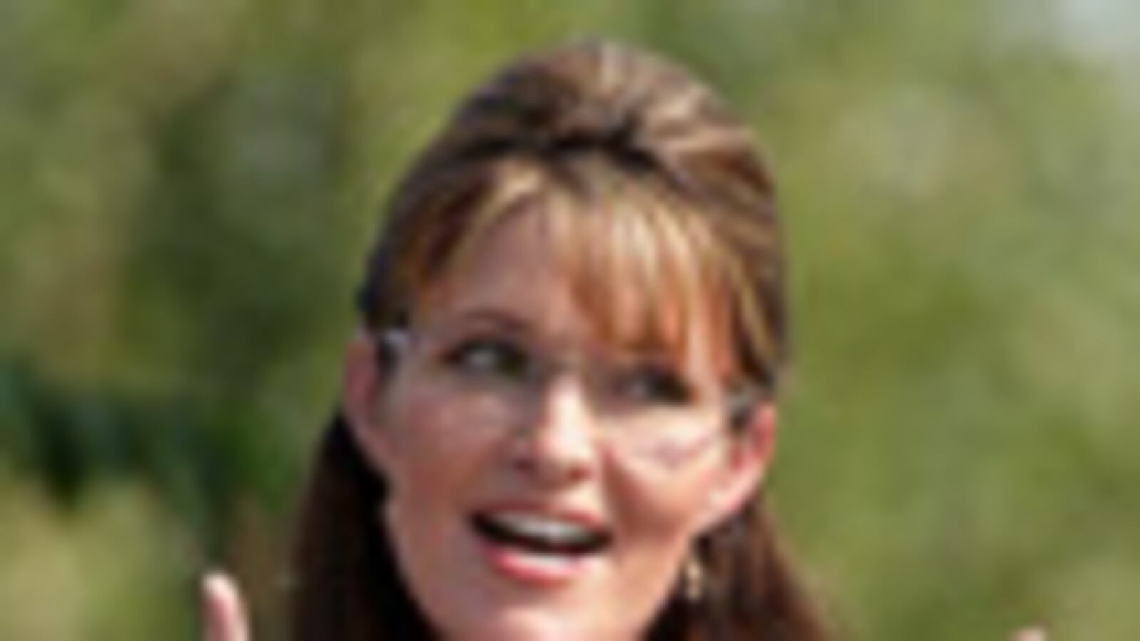 cheats/2010/02/11/palin-unqualified-to-be-president/palin-2_zhryc7