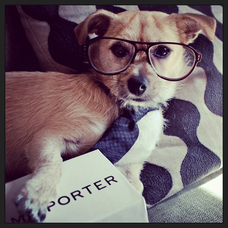 galleries/2013/09/01/9-best-fashion-instagrams/130829-fashion-instagram-05_j559fz