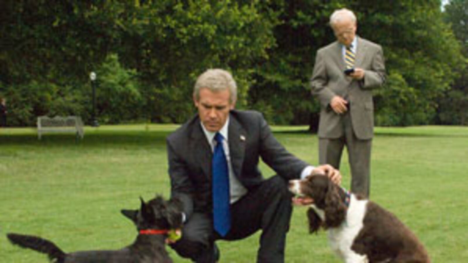 articles/2008/10/17/my-w-and-oliver-stones/horton-mcclellan_xfz4fk