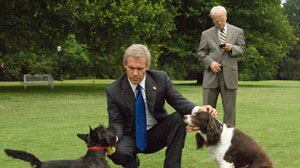 articles/2008/10/17/my-w-and-oliver-stones/horton-mcclellan_xfz4fk