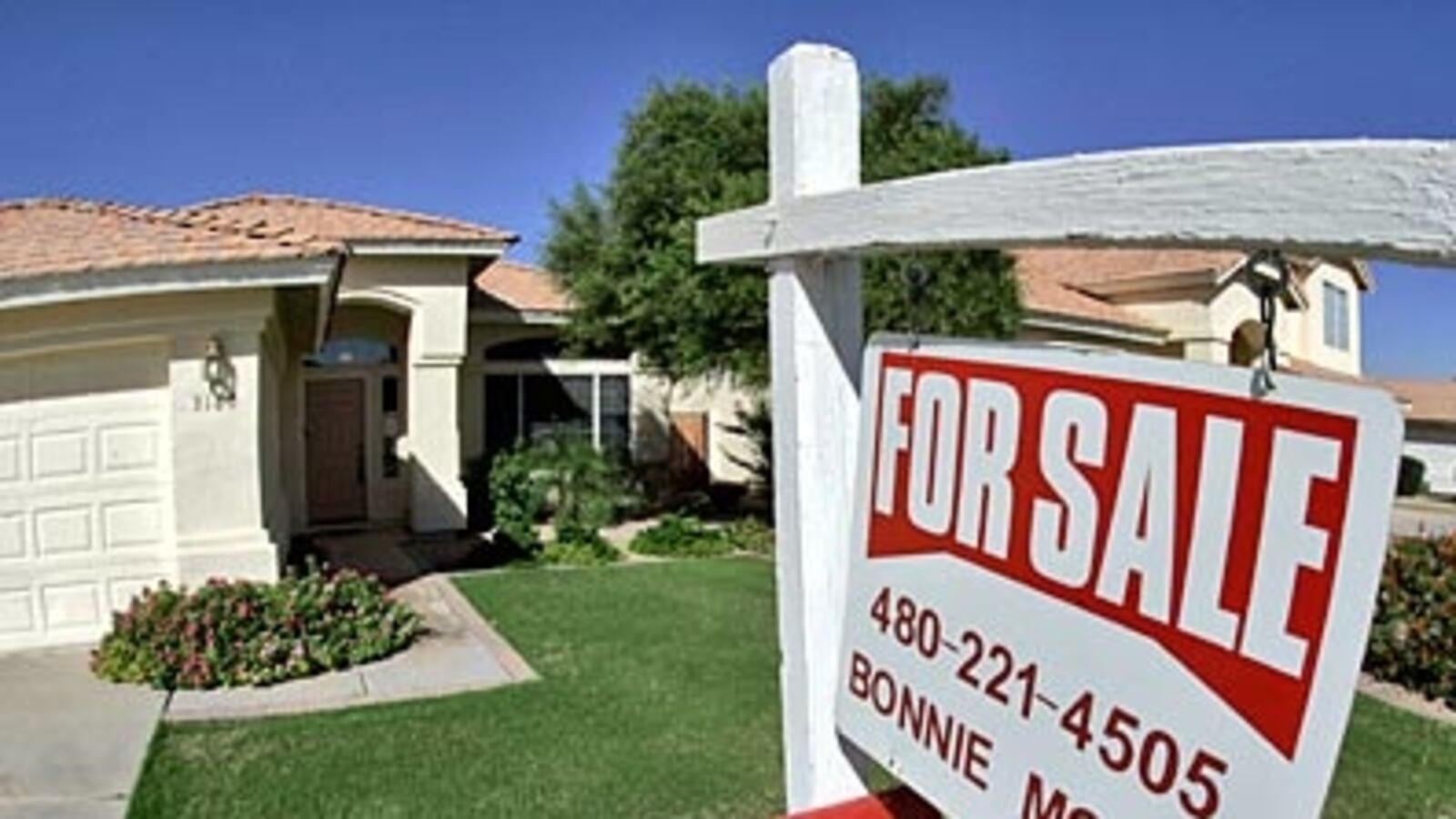 cheats/2008/12/23/november-housing-sales-plummet/home-sales_zbmfag