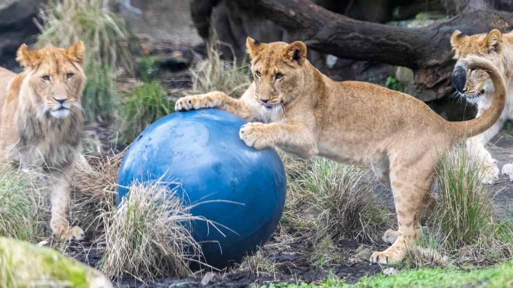 GettyImages-1414325328_w1hoza