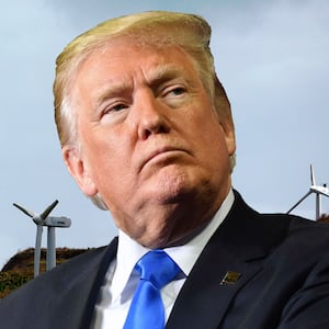 190403-trump-windmills-tease_sav4uh