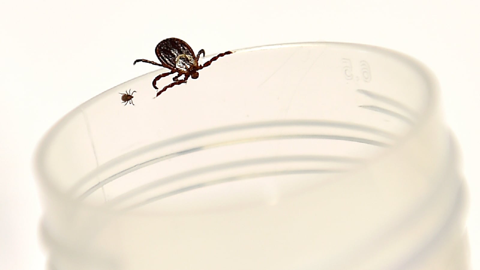 GettyImages-1043320944_sou6sw