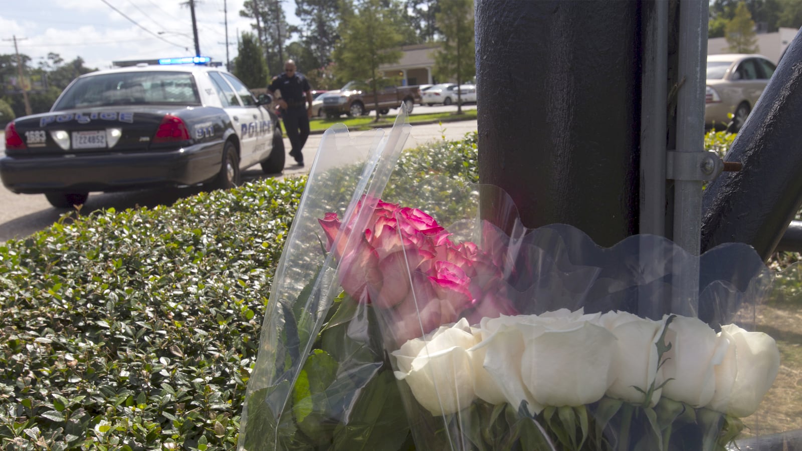 cheats/2015/07/24/theatre-victims-artistic-smart/150724-shooting-update-cheat_xctmys