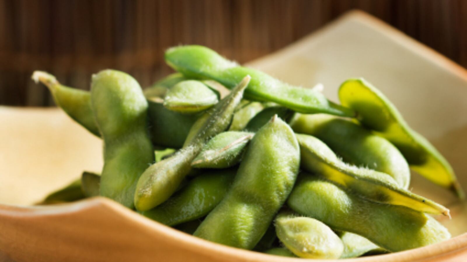 articles/2008/12/23/steamed-edamames-roasted-duck-garlic-bok-choy/feast---the-fusion-feast---duck-313_litkhm