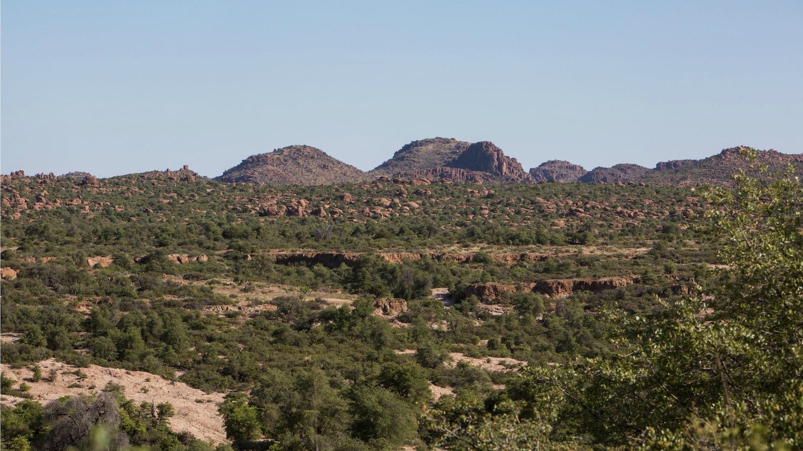 170716-arizona-flash-floods-forest-cheat_nyd0e7