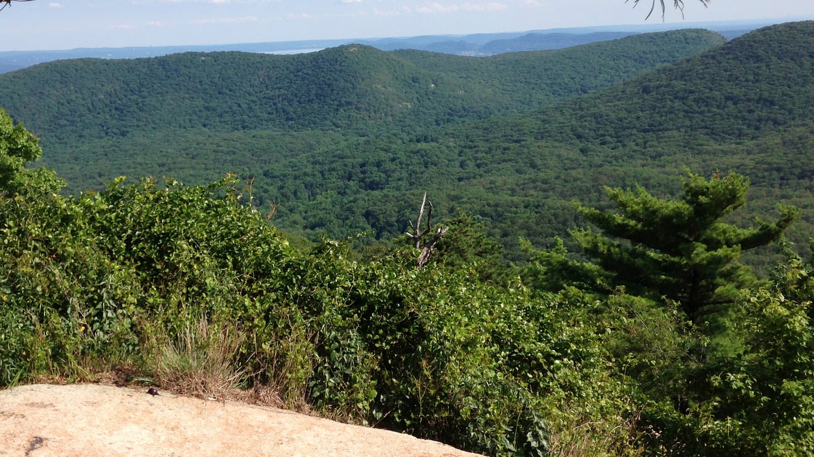 The Appalachian Mountains, captured from a mountain peak.