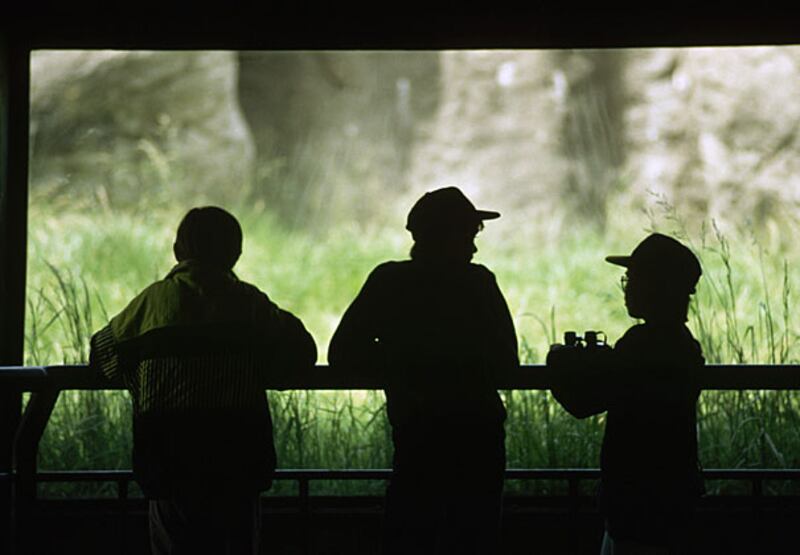 galleries/2008/10/14/new-deal-projects/new-deal-woodland-park-zoo_rze1er