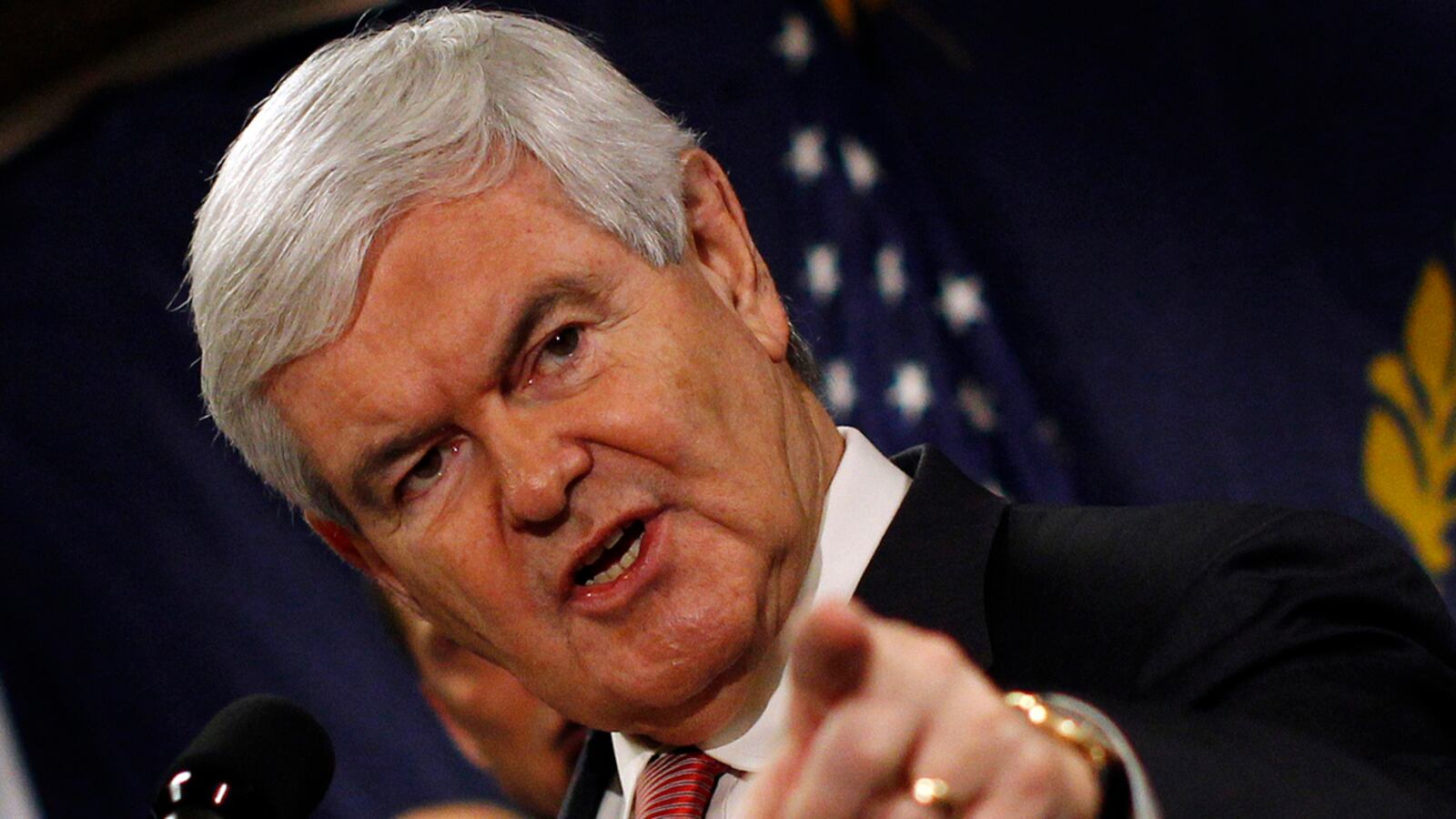 articles/2012/01/04/newt-gingrich-targets-romney-returns-to-cage-fighting-roots/newt-gingrich-gunning-for-mitt-romney_jiekd7