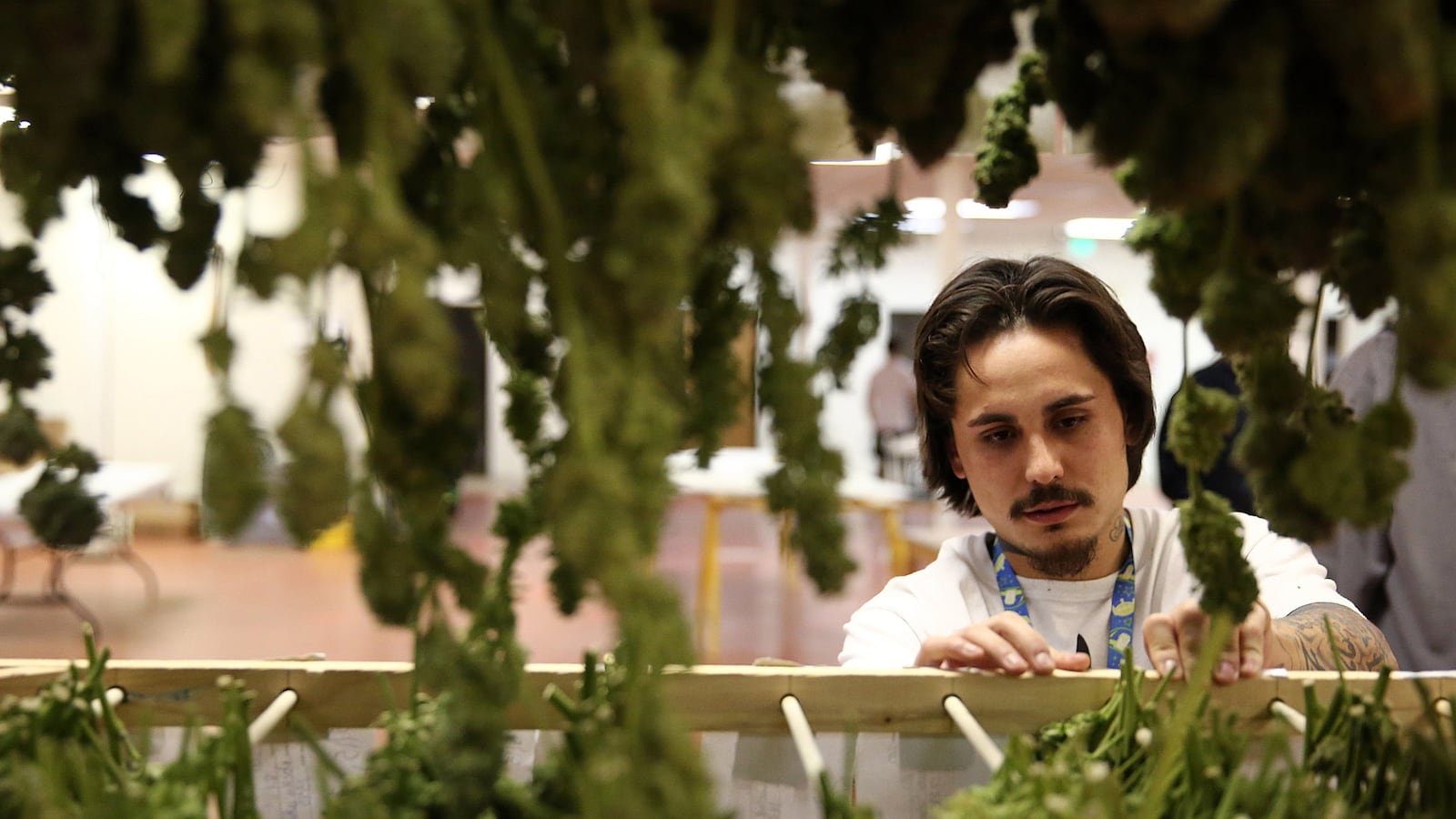 articles/2013/09/13/tax-cuts-for-pot-law-breakers/130912-drugs-tax-cuts-tease_gf9sql