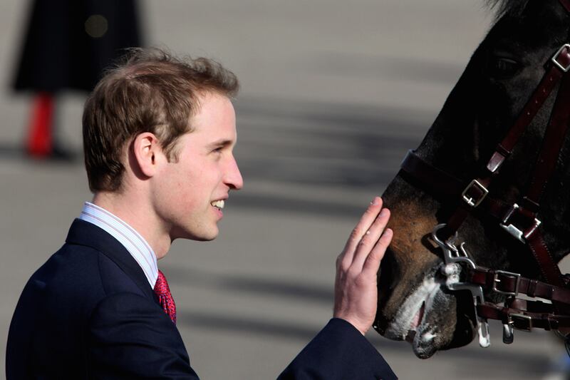 galleries/2011/04/05/royal-wedding-myths-and-rumors/royal-wedding-myths-rumors-horse_wq1ogb