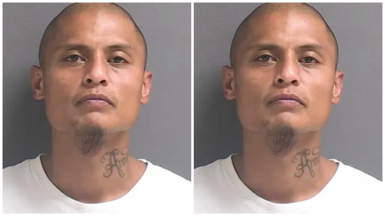 Blank_3000_x_1688_5_tqov32