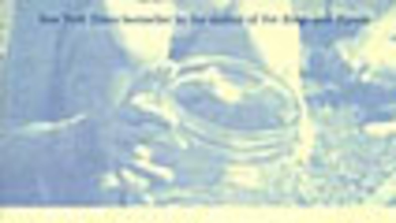 articles/2009/07/28/curtis-sittenfelds-favorite-books/book-highlight---sittenfeld-book-bag---emperor_lybmx8