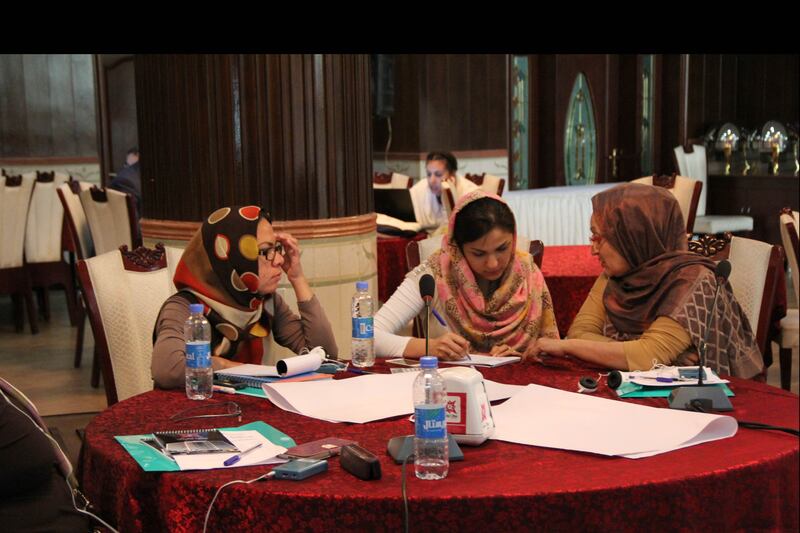 articles/2014/10/17/amid-unrest-afghan-women-push-for-role-in-peace-process/141017-raskin-swanee_uabqh6