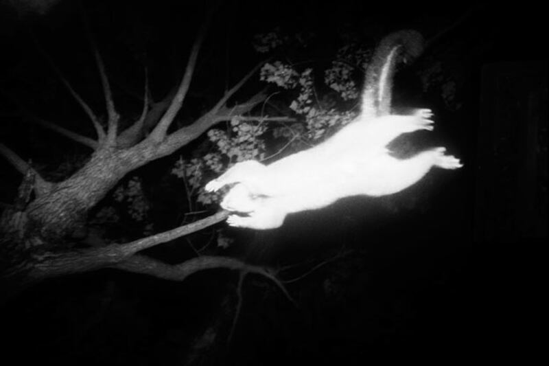 galleries/2009/11/16/magnum-the-next-generation/magnum-trent-parke_nveqj0