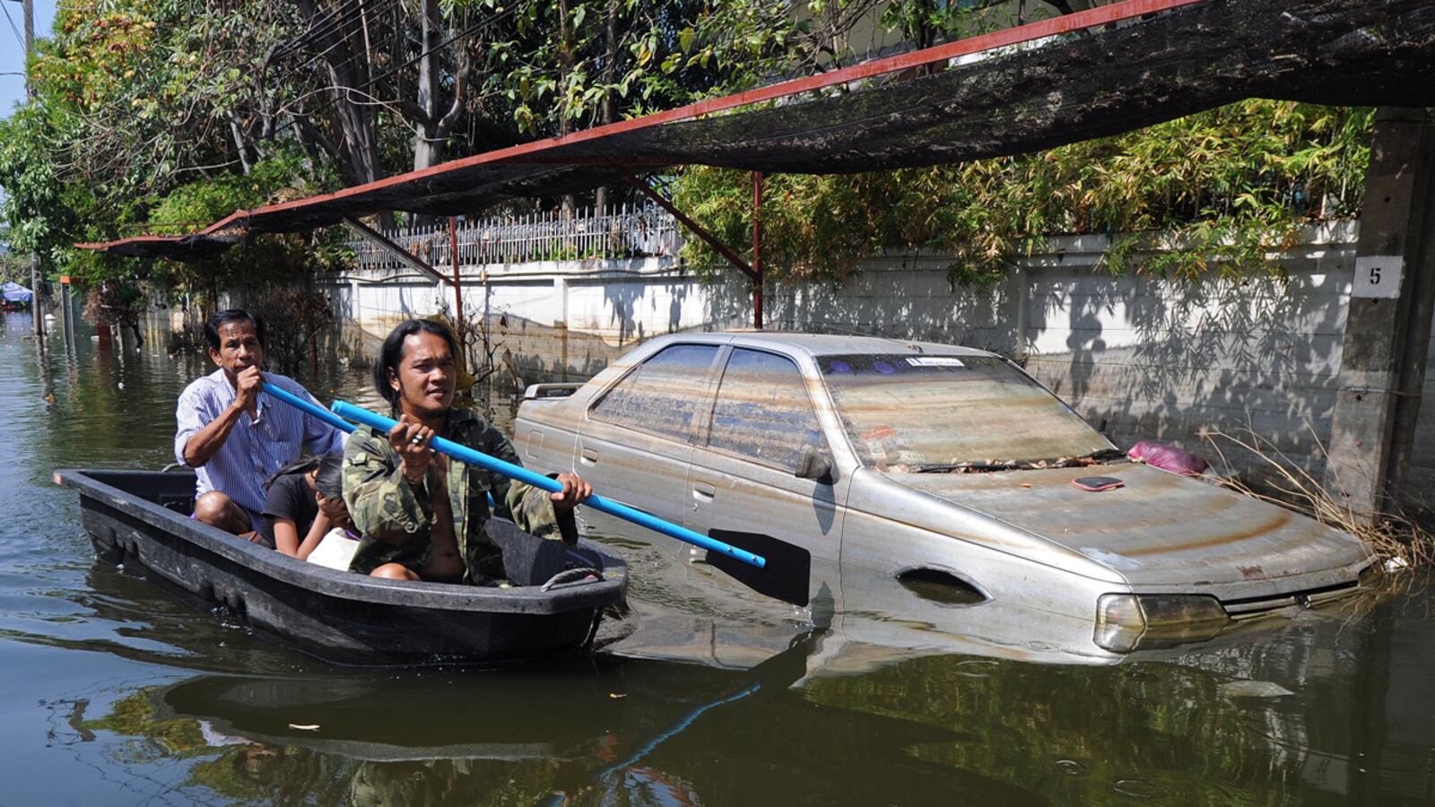 cheats/2011/11/27/floods-reveal-bangkok-crocodiles/bangkok-crocodiles-snakes-cs_bqq7pe