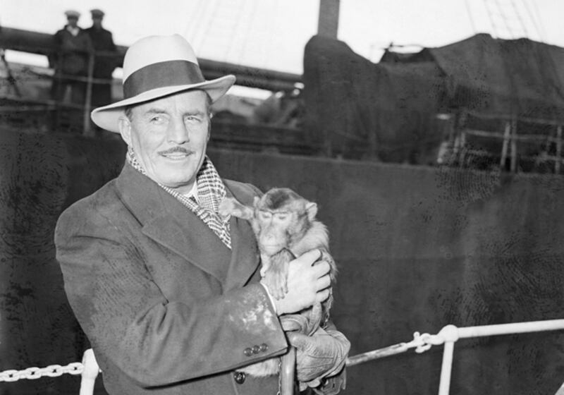 galleries/2011/03/29/animals-on-the-loose/animals-on-the-loose---rhesus-monkeys_lfmgyh