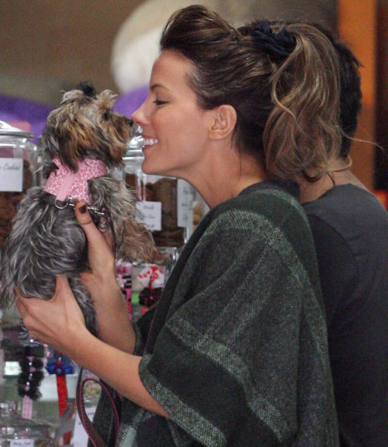 galleries/2011/12/01/stars-in-scrunchies-photos/stars-in-scrunchies-beckinsale_qjveo2