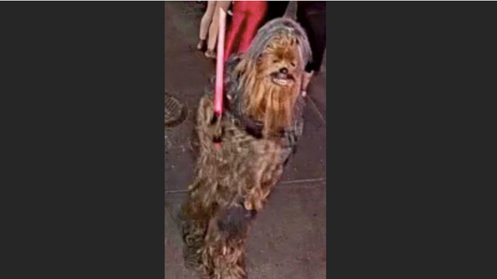 Screen_Shot_2021-04-27_at_11.18.30_edf52i