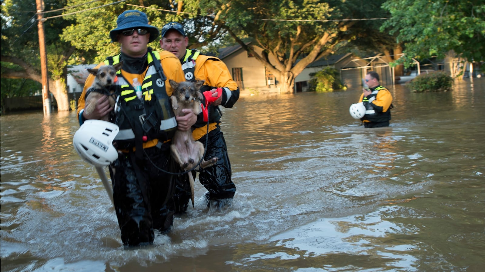 170902-trump-harvey-aid-request-cheat_qvhmxc