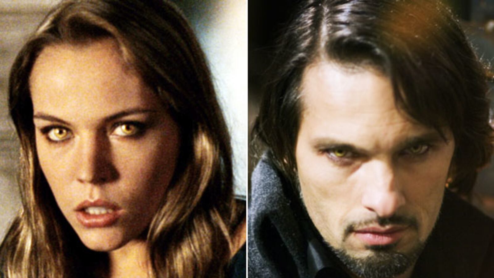 galleries/2009/11/16/hollywood-s-sexiest-werewolves/sexiest-werewolves---blood-and-chocolate_vnoc7z