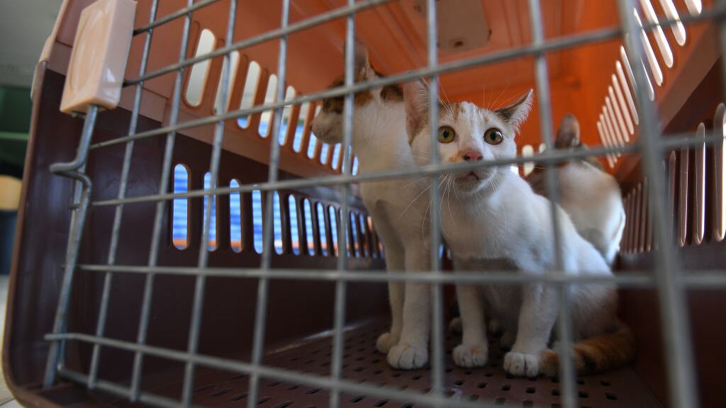 GettyImages-1228211204_zph9lp