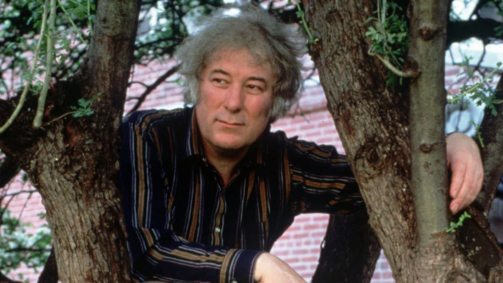 cheats/2013/08/30/irish-poet-seamus-heaney-dies/130830-seamus-heaney-cheat_rxnye5