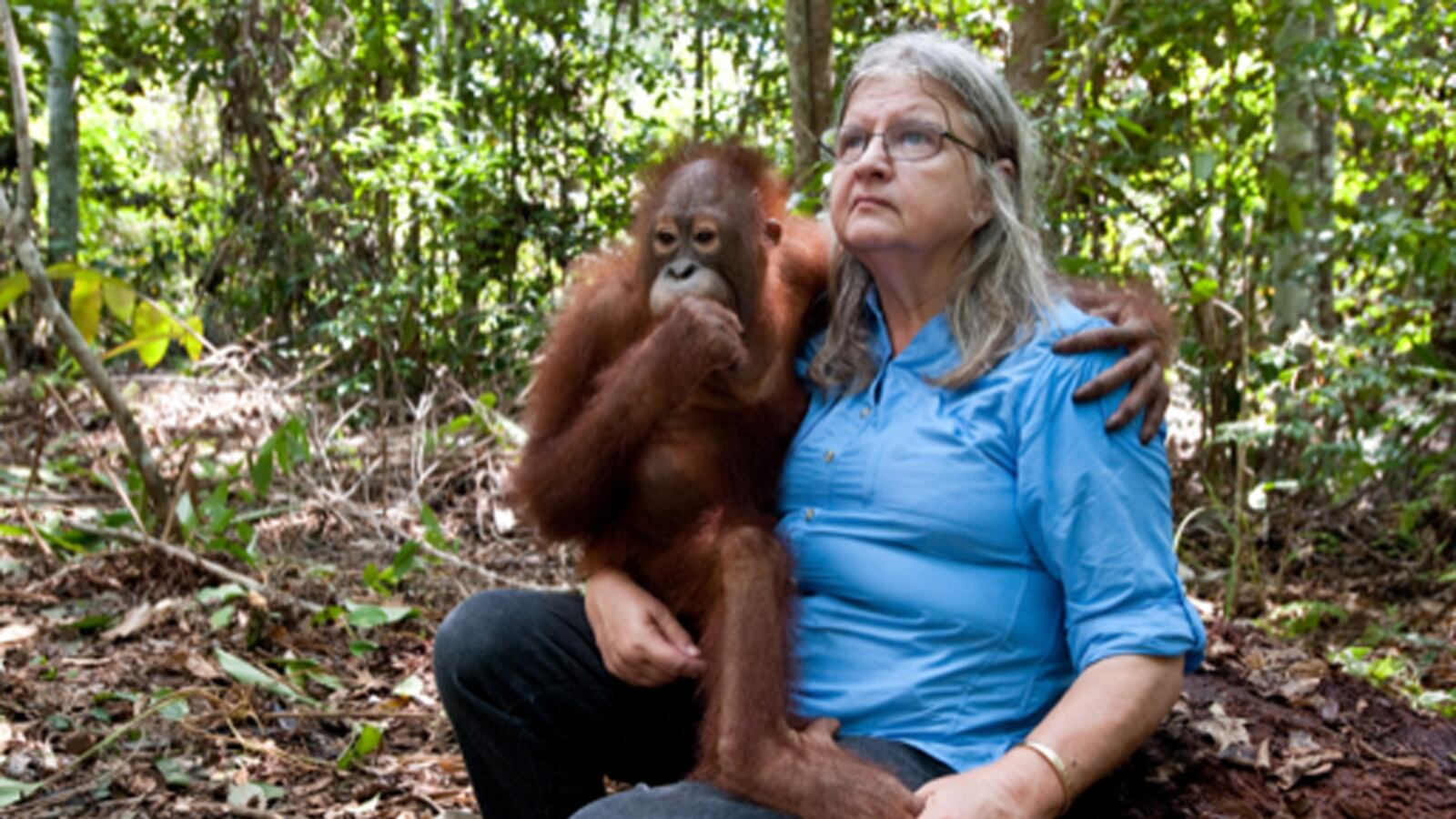 videos/2012/10/23/born-to-be-wild-on-location-borneo/born-to-be-wild-on-location-borneo-image_m3s1ol