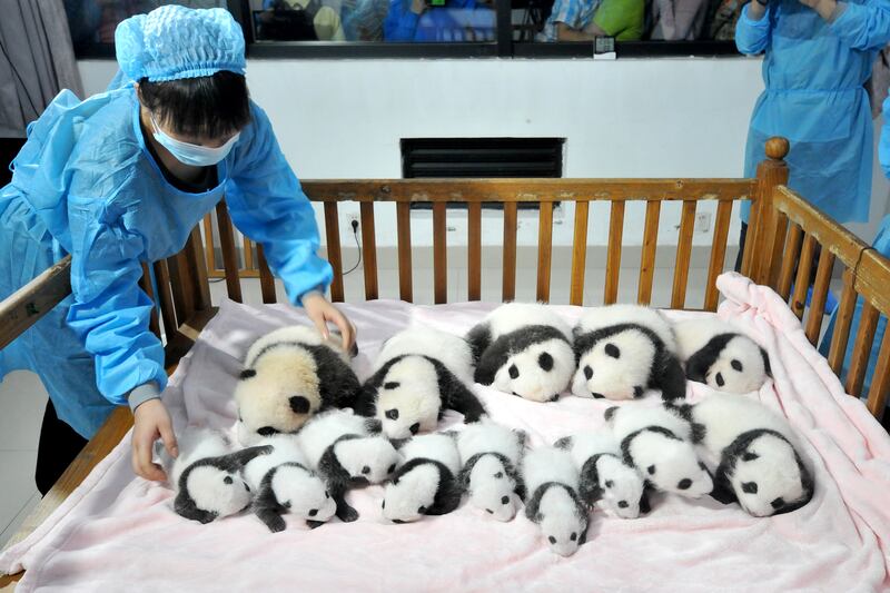 galleries/2013/09/27/week-in-photos-september-27-2013/130927-week-in-photos-5_vvcts4