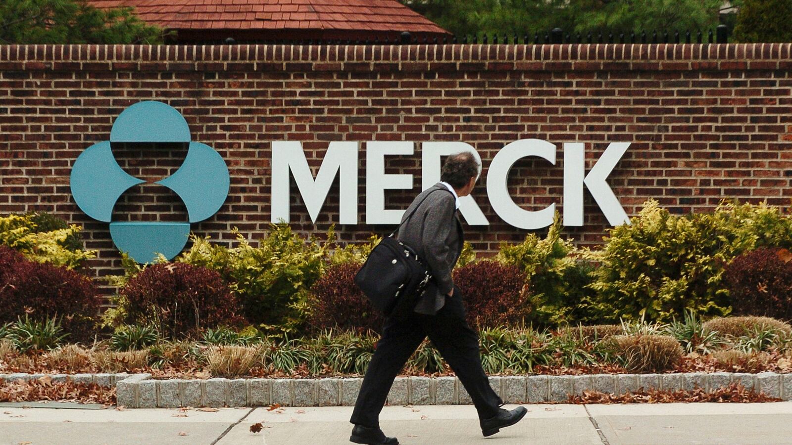 GettyImages-56293183_pl8ljz