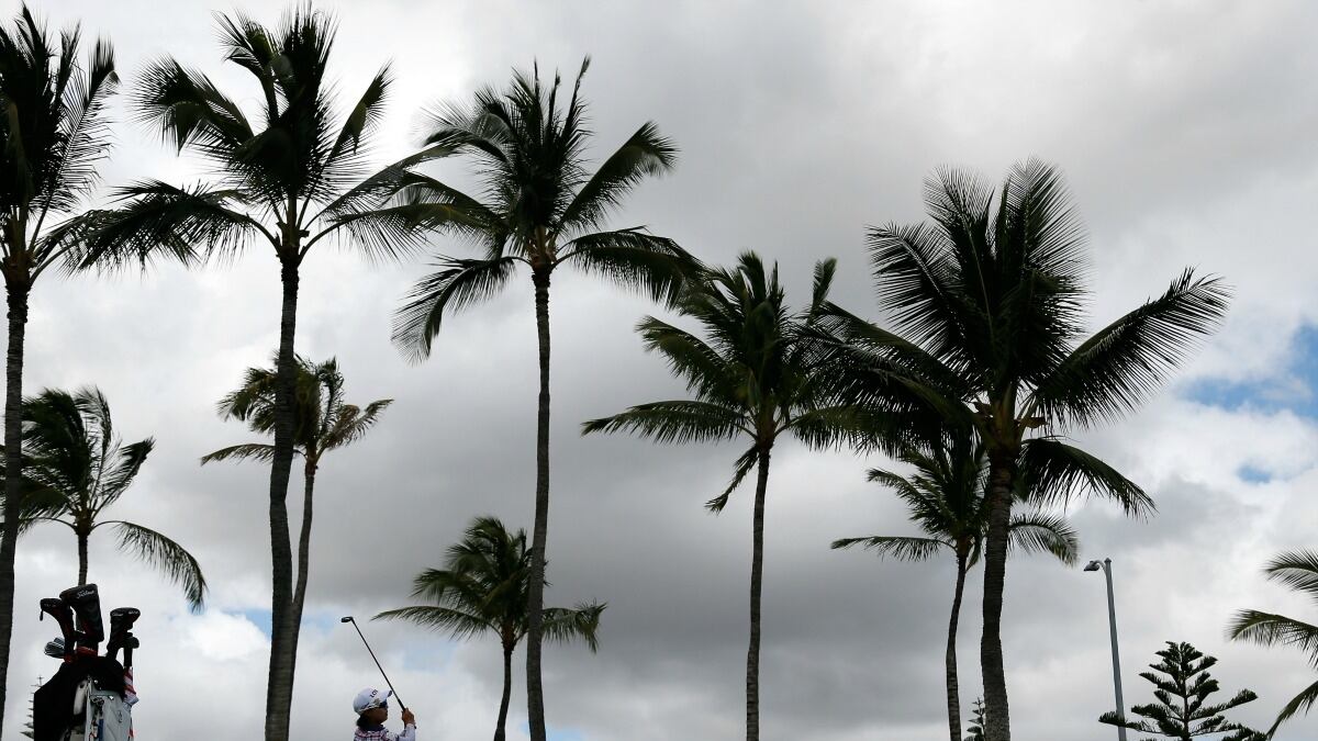 cheats/2013/05/06/sex-superbug-discovered-in-hawaii/sex-superbug-cheat_dkiguf