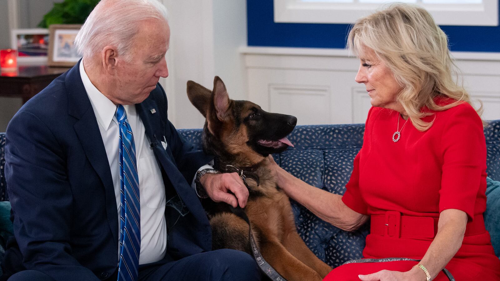 President Joe Biden and first lady Jill Biden look at their new dog Commander. Commander has reportedly bitten at least seven Secret Service officers in the span of four months.