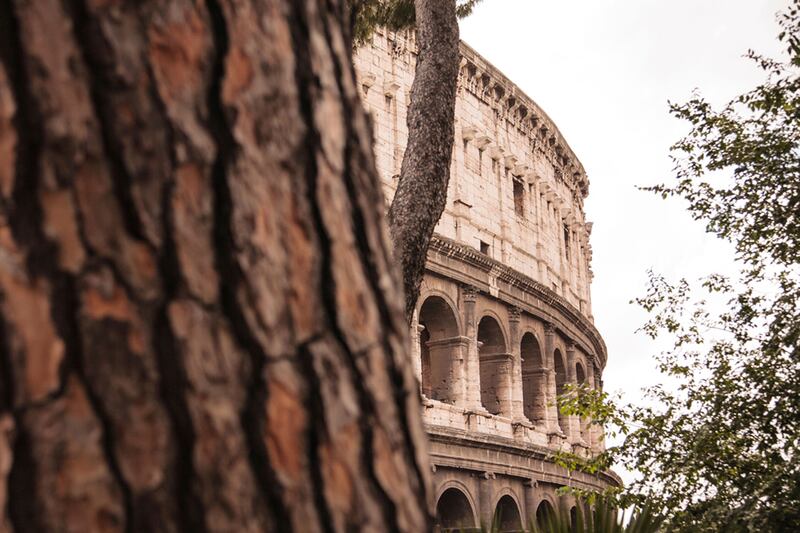 galleries/2013/09/01/nine-perfect-picnic-spots-around-the-world-photos/parco-del-colle-oppio-rome-italy-scott-rae-alamy_ggzewn
