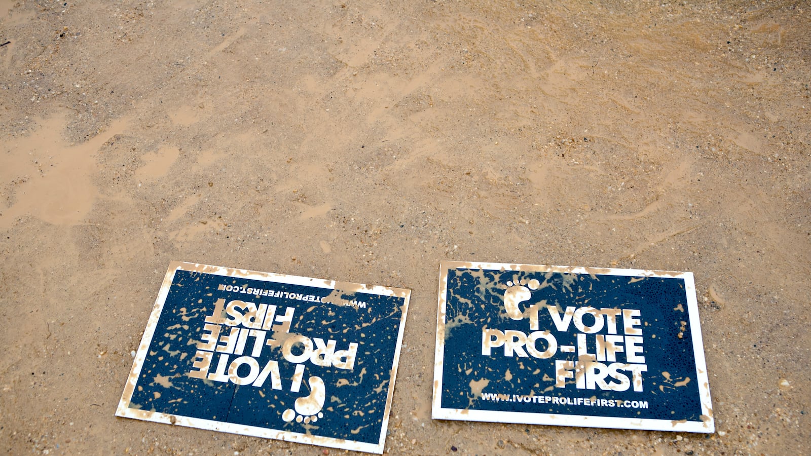 articles/2012/02/17/is-contraceptive-debate-gop-s-new-terry-schiavo-moment/the-right-soical-issues-goldberg_muxd9f