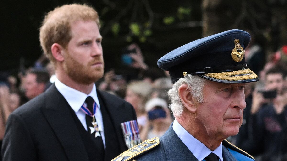 Photograph of Prince Harry and King Charles III.