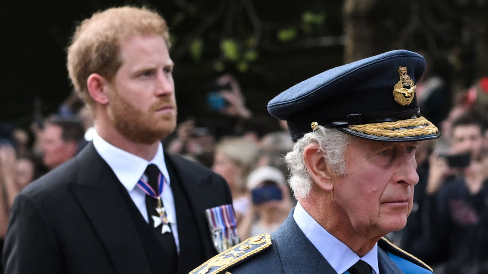 Photograph of Prince Harry and King Charles III.