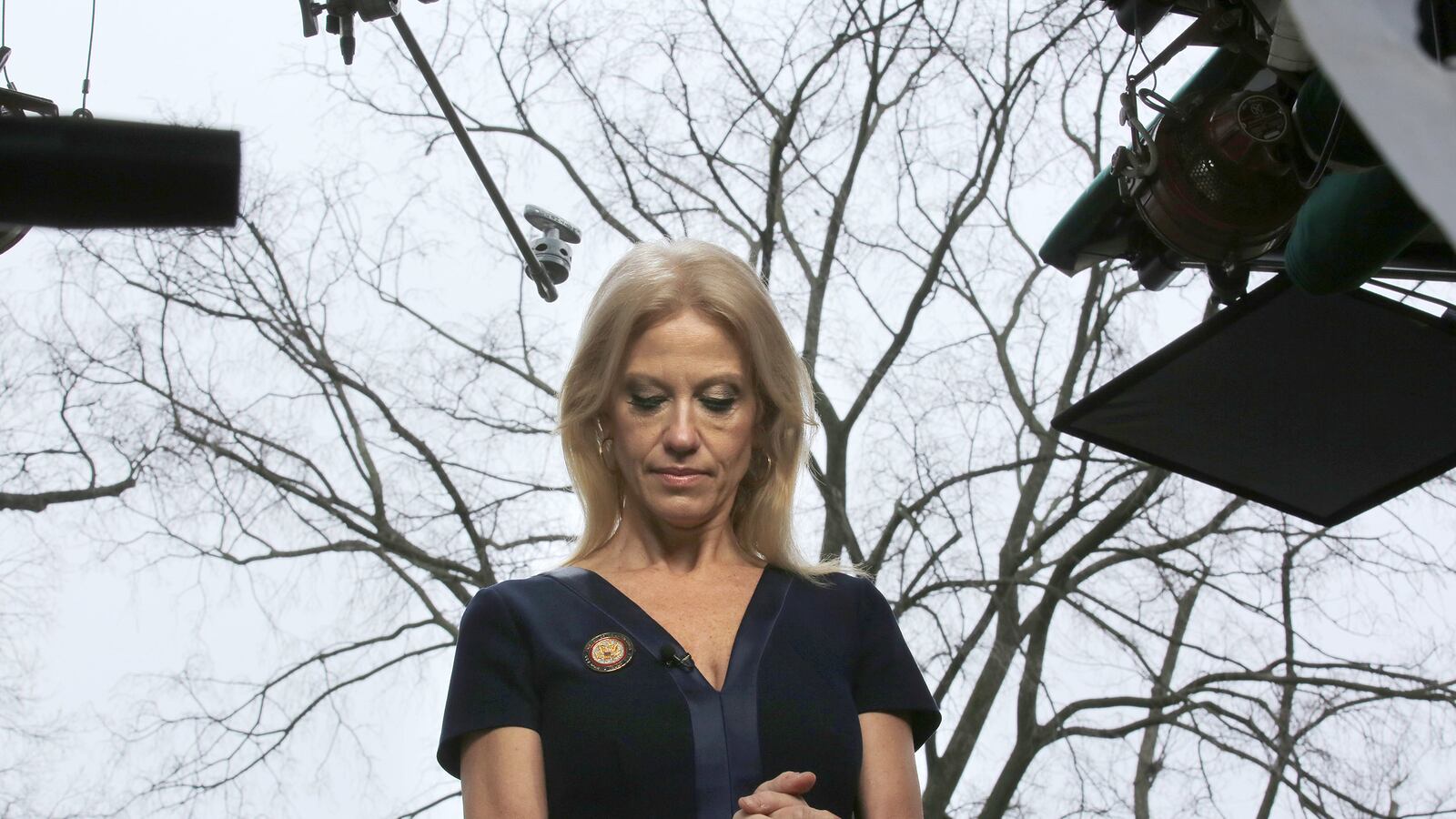 cheats/2017/02/15/morning-joe-bans-kellyanne-conway/170210-ryan-kellyanne-conway-tease_relewt